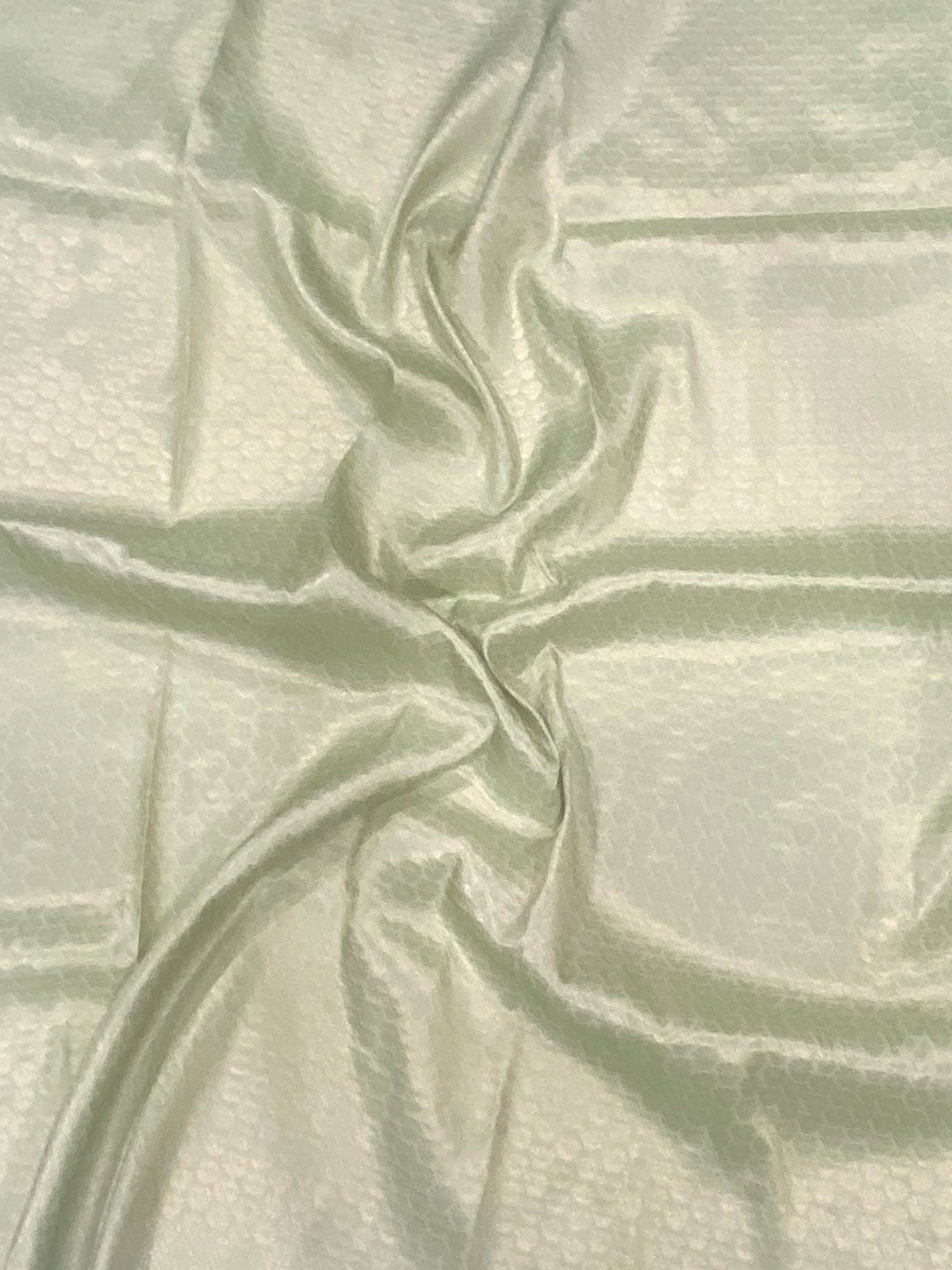 Pastel Green Kanjivaram Digital Silk Saree by My Store