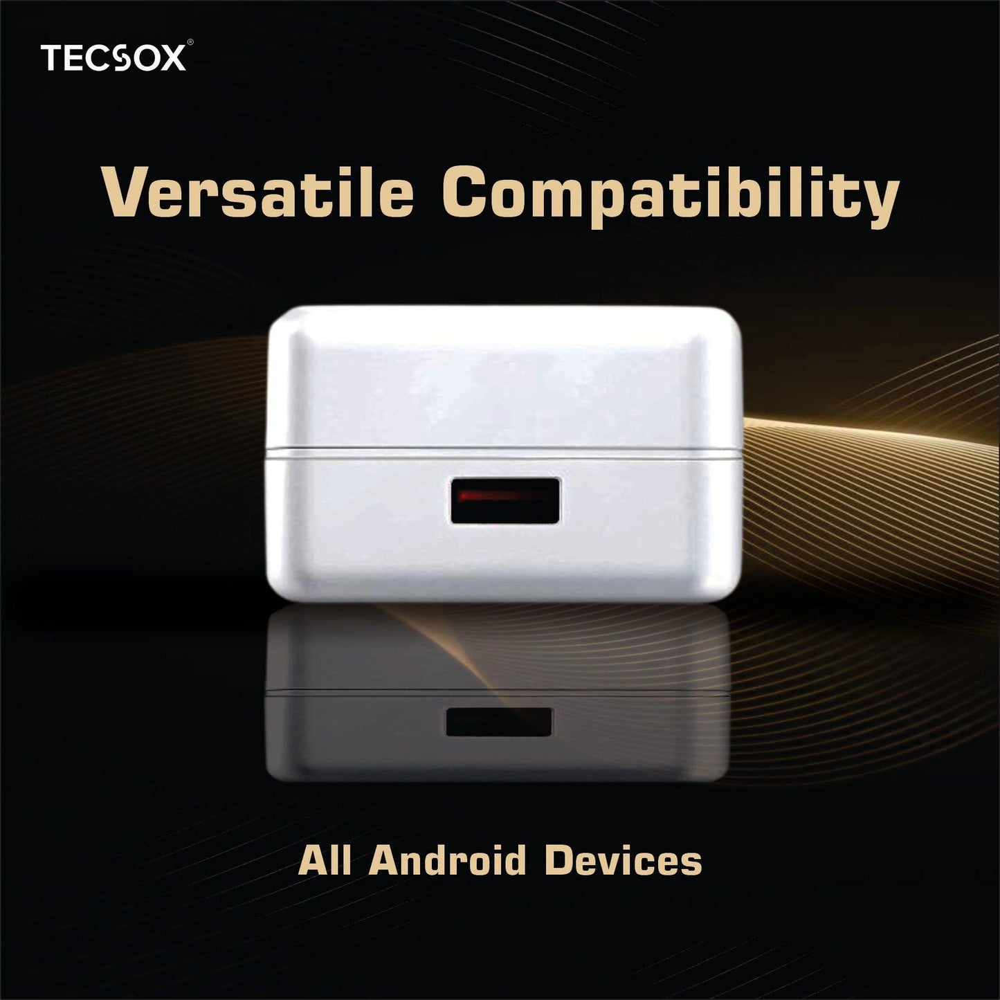 100W Charger + Cable | Fast Charging and Data Transfer