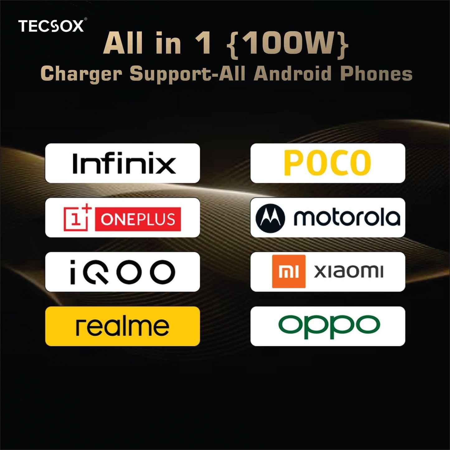 100W Charger + Cable | Fast Charging and Data Transfer