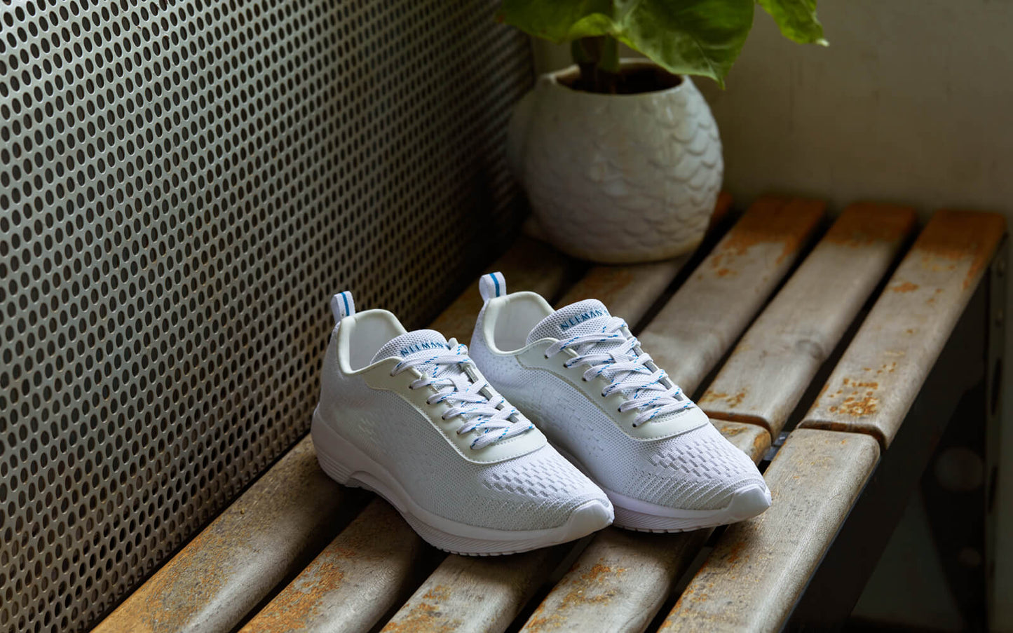 Everyday Basic Sneakers – Powder White | Lightweight, Minimalist Sneakers for Daily Wear