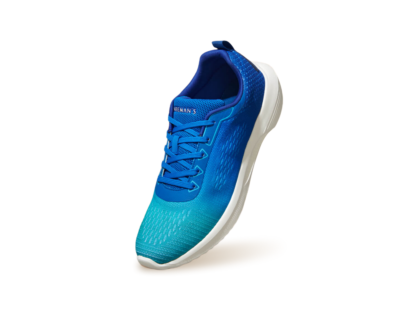 The Loungesters : Blue-Teal by My Store