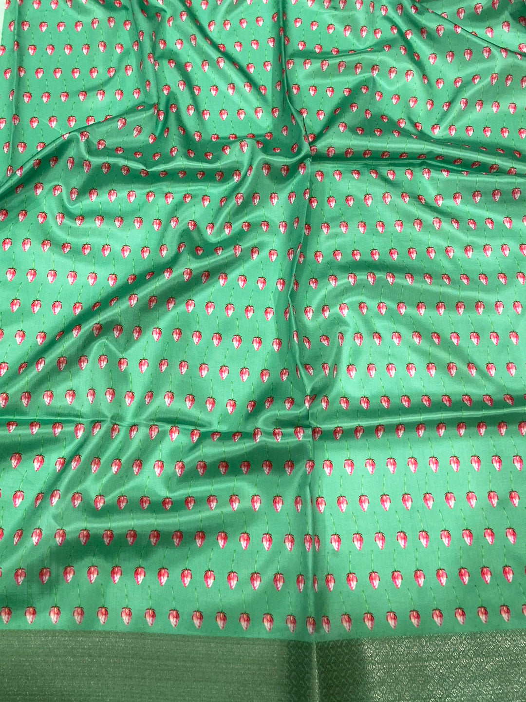 Mint Green Soft Organza Digital Print Saree by My Store