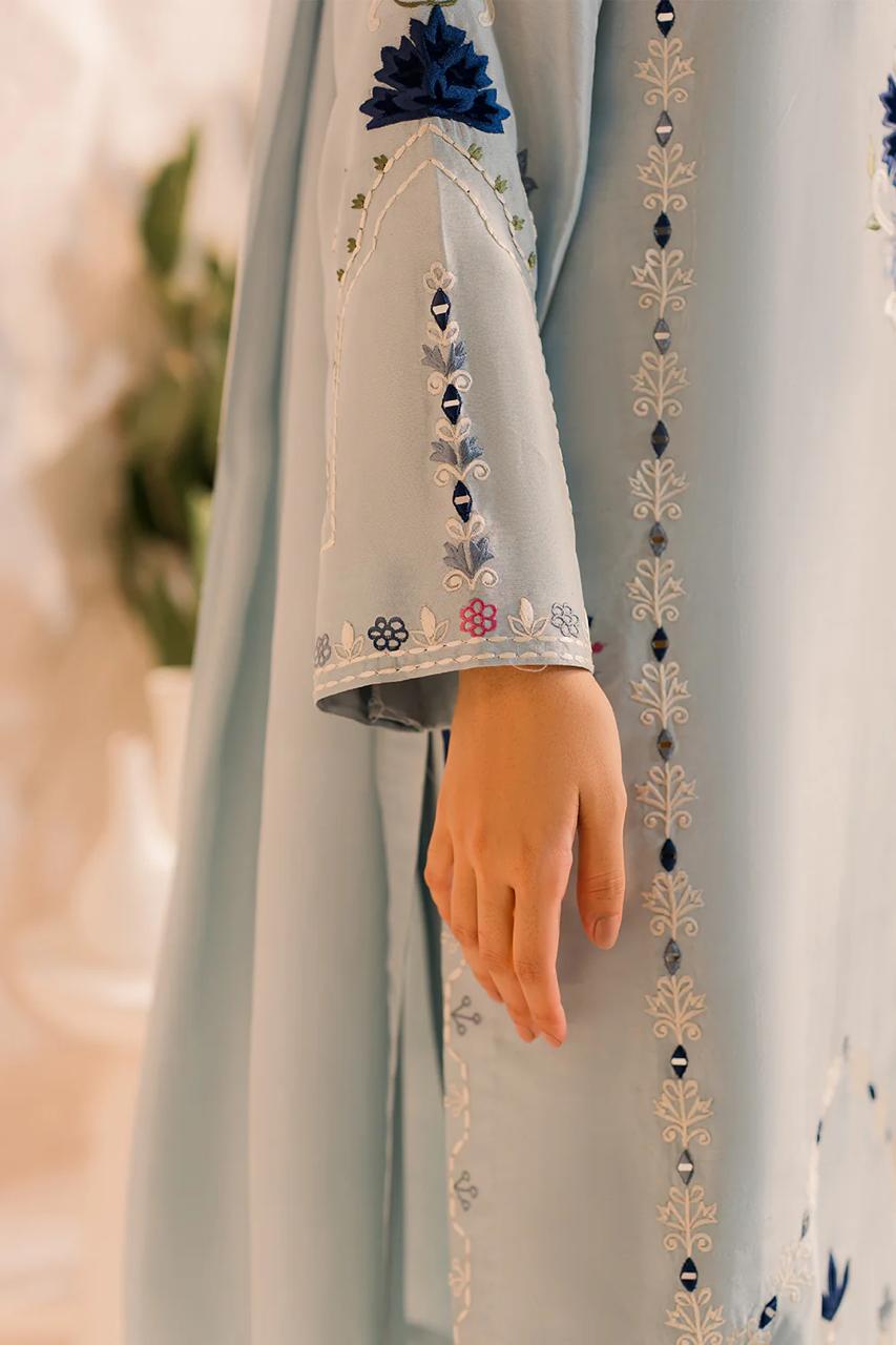 Graceful Sky Blue Embroidered Kurta Set with Dupatta