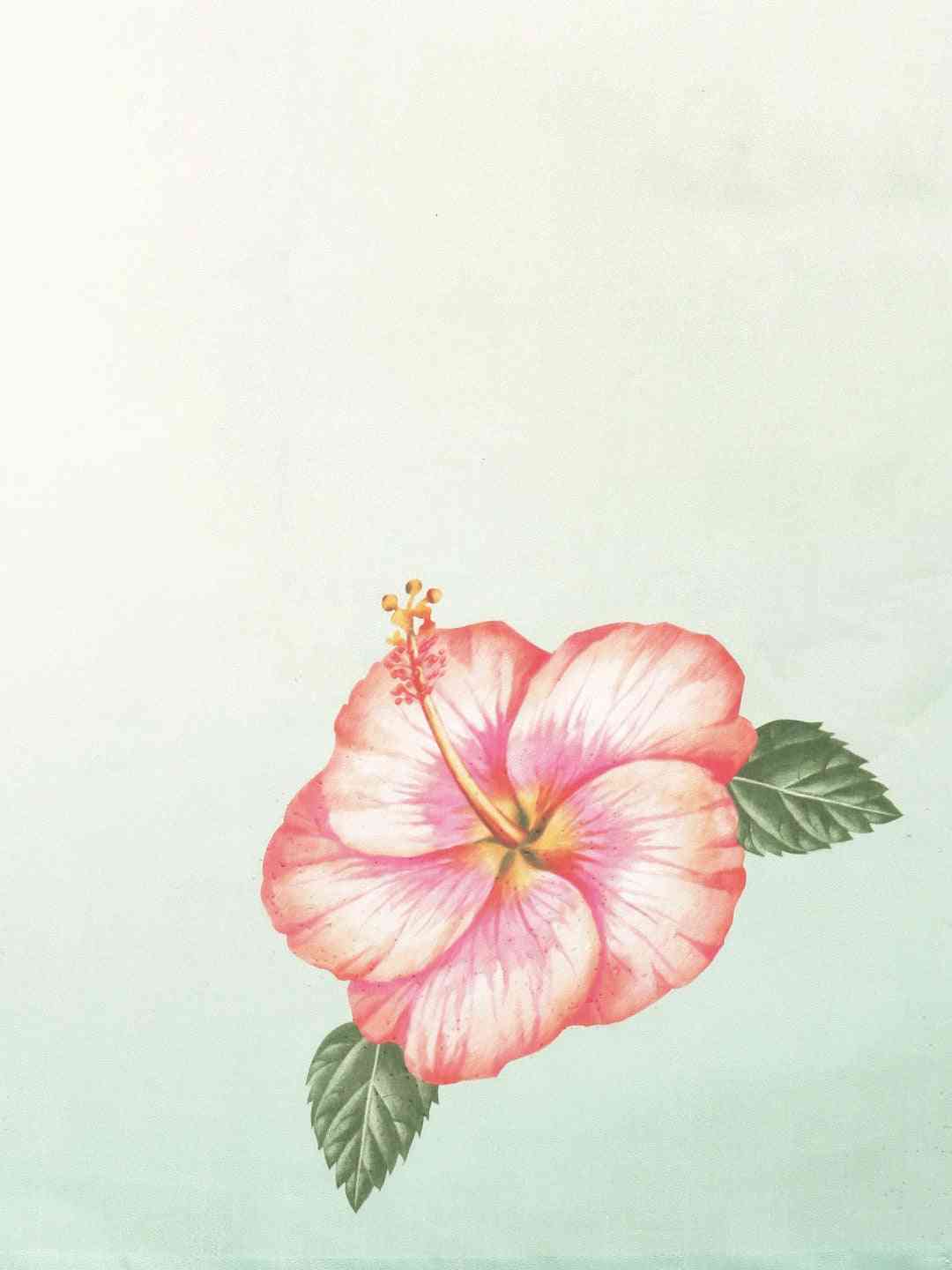 Pink Colour Floral Printed Pure Tebi Silk Saree With Resham Tassel by My Store