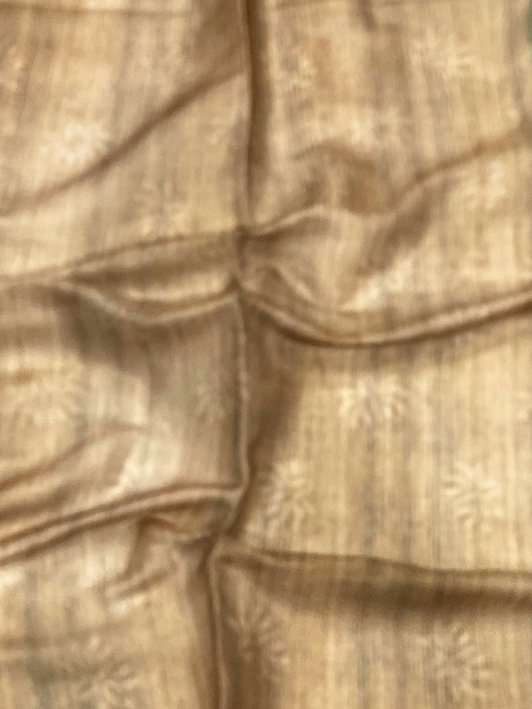 Green Tissue Chanderi Floral Abstract Saree by My Store