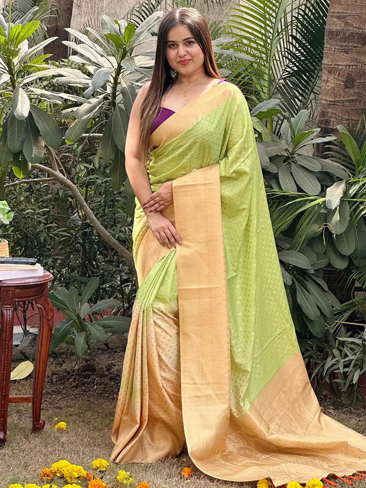 Soft Silk Banarasi Ombre Print Party Wear Saree by My Store