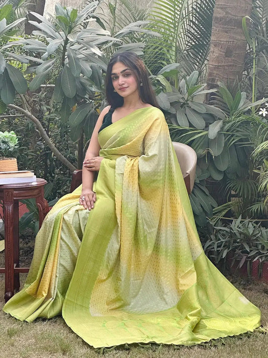 Soft Silk Banarasi Ombre Print Party Wear Saree by My Store